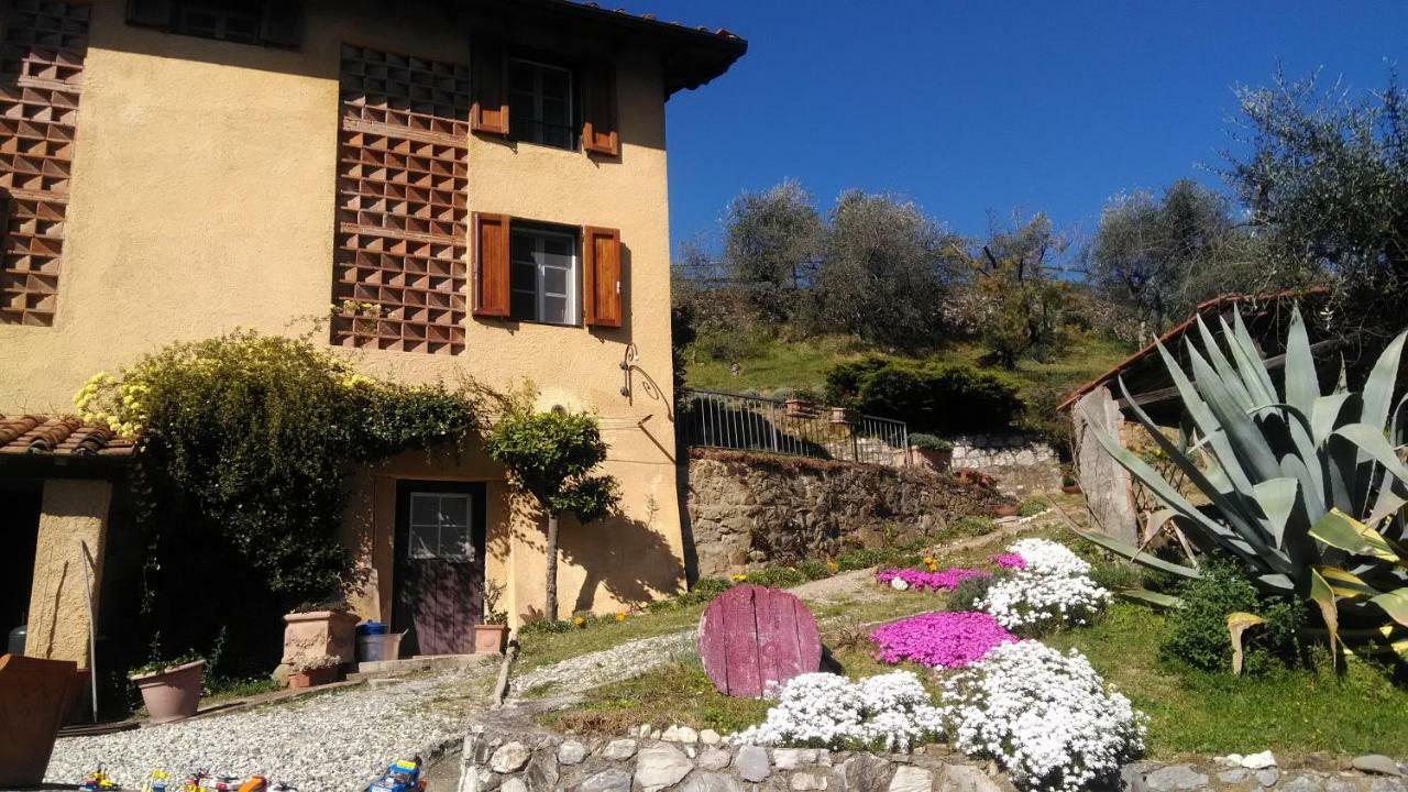 Casa Al Colle Villa Lucca Exterior photo